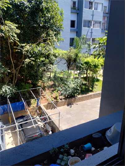 Foto REO1098083