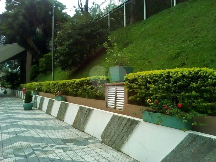 Foto REO1098087