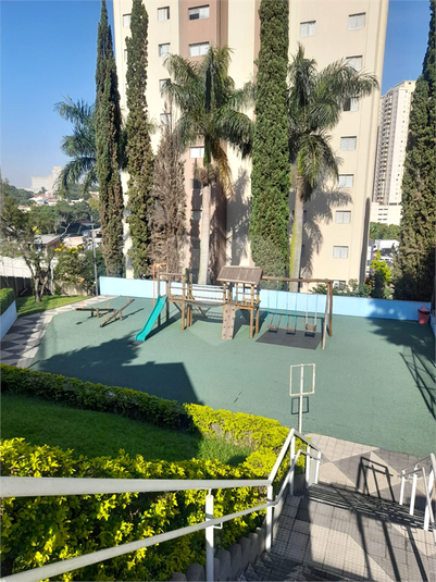Foto REO1098087
