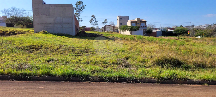 Foto REO1098089