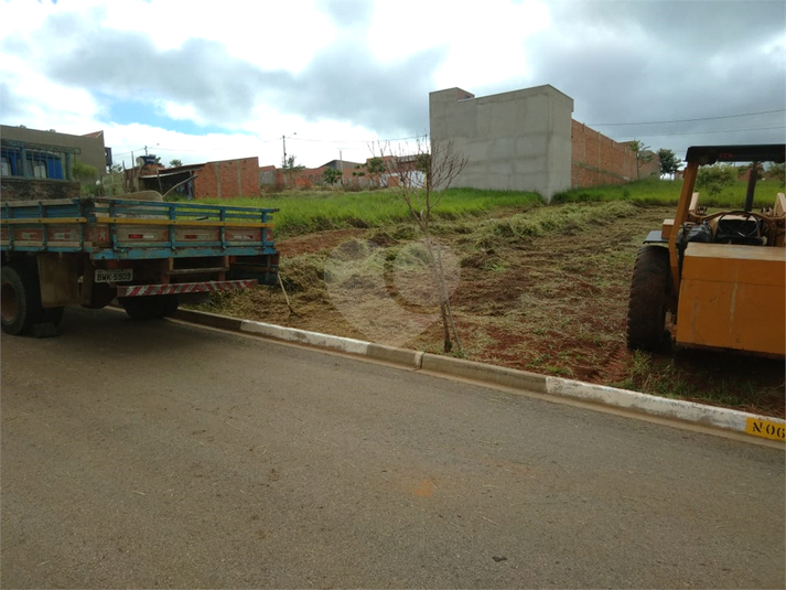 Foto REO1098089