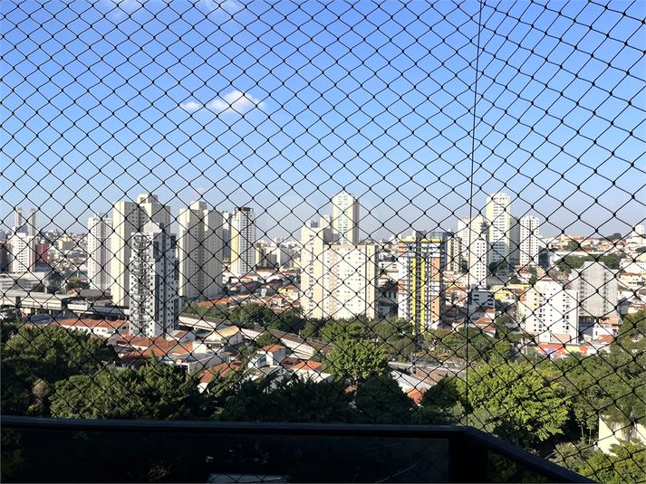 Foto REO1098115