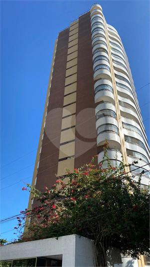 Foto REO1098126