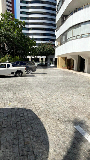 Foto REO1098126