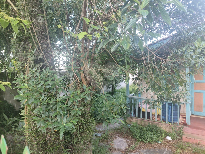Foto REO1098162