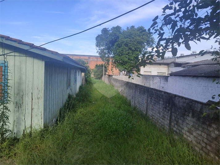 Foto REO1098162