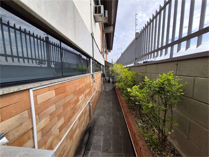 Foto REO1098174
