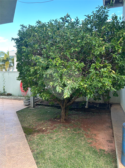 Foto REO1098177