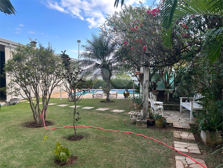 Foto REO1098177