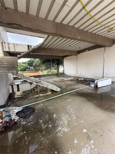 Foto REO1098184