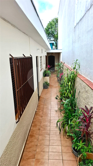 Foto REO1098192