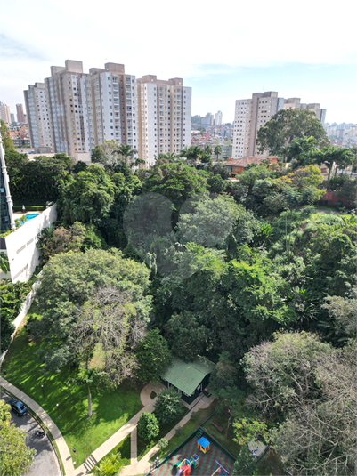 Foto REO1098205