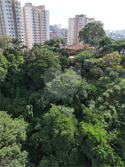 Foto REO1098205