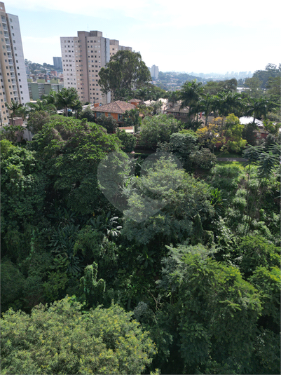 Foto REO1098205