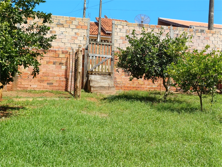 Foto REO1098215