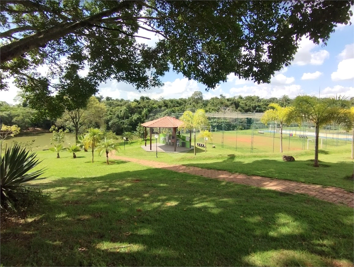 Foto REO1098221