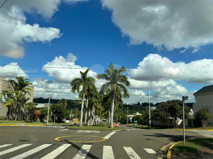 Foto REO1098237