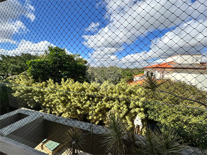 Foto REO1098237