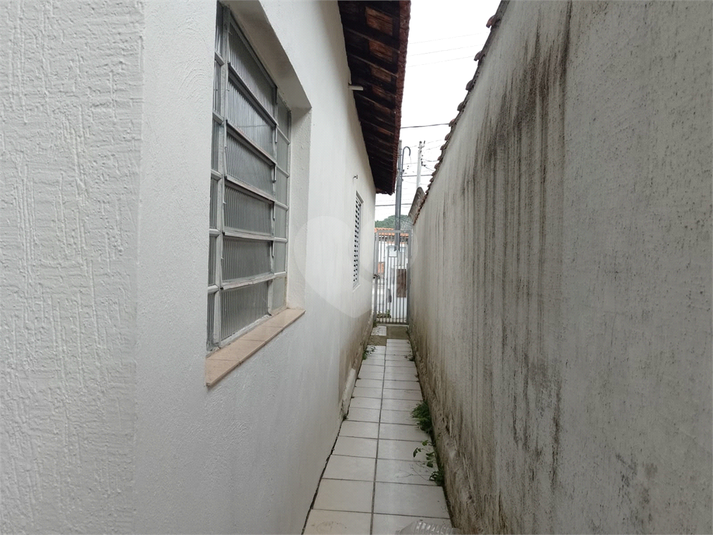Foto REO1098246