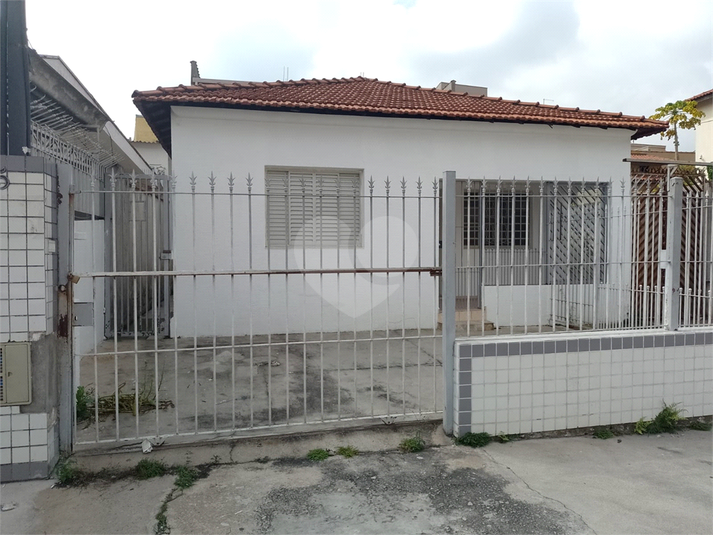 Foto REO1098246