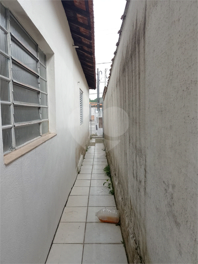 Foto REO1098246