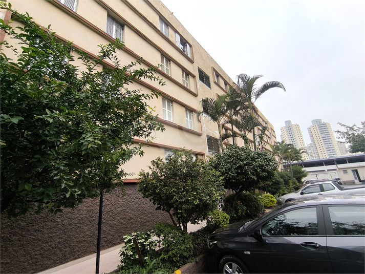 Foto REO1098251