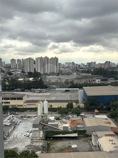 Foto REO1098252