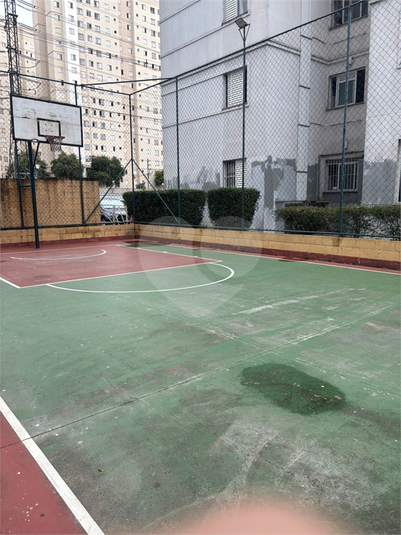 Foto REO1098252