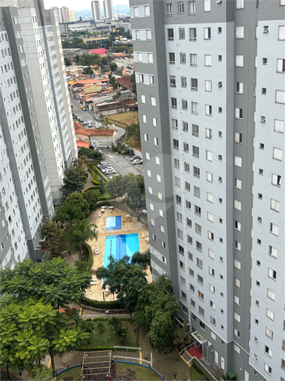 Foto REO1098252