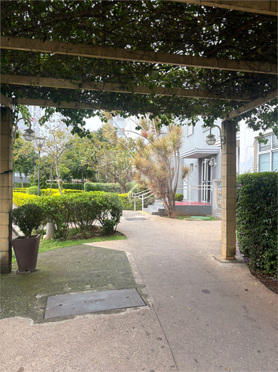 Foto REO1098252