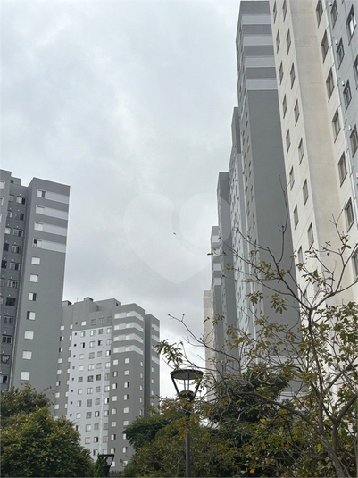 Foto REO1098252