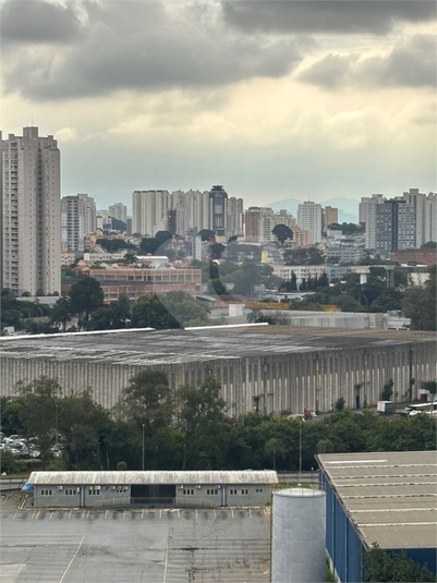 Foto REO1098252