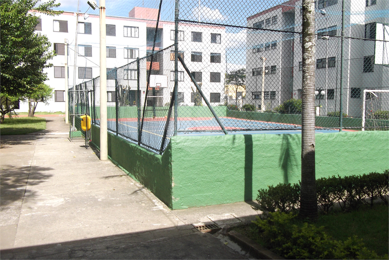 Foto REO1098264