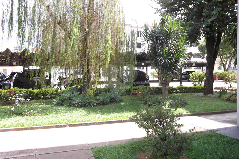 Foto REO1098264