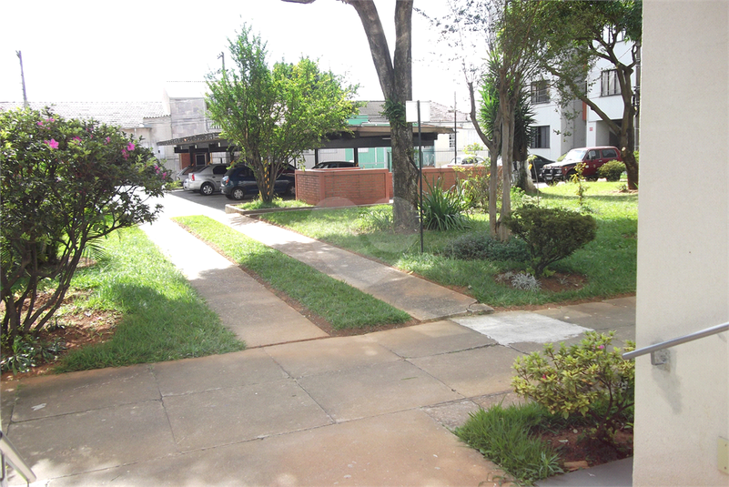 Foto REO1098264