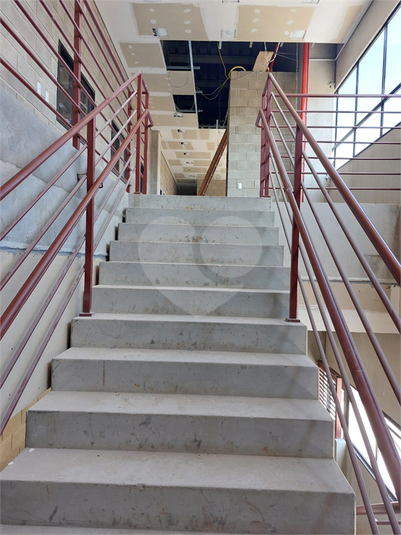 Foto REO1098266