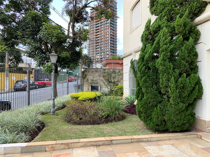 Foto REO1098267