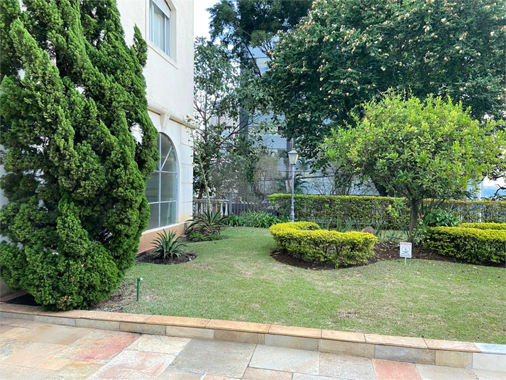 Foto REO1098267