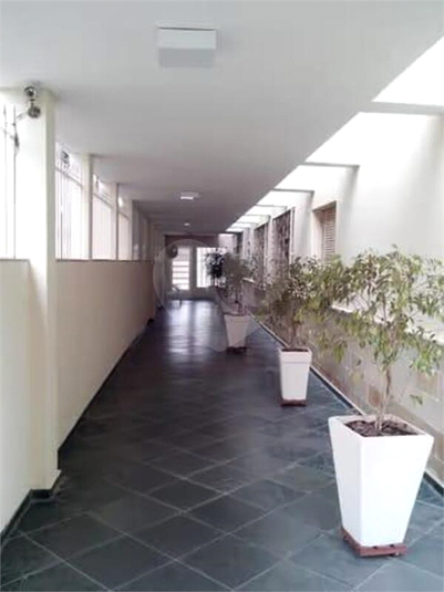 Foto REO1098268