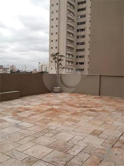 Foto REO1098268