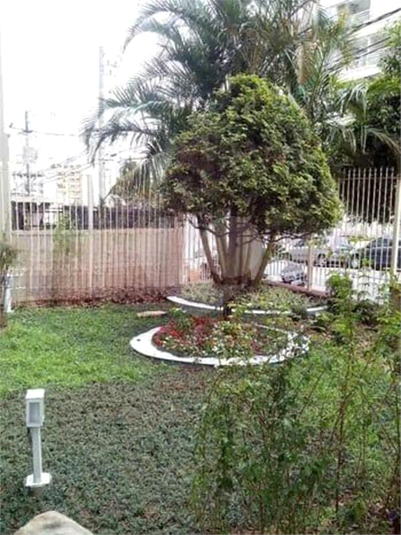 Foto REO1098268