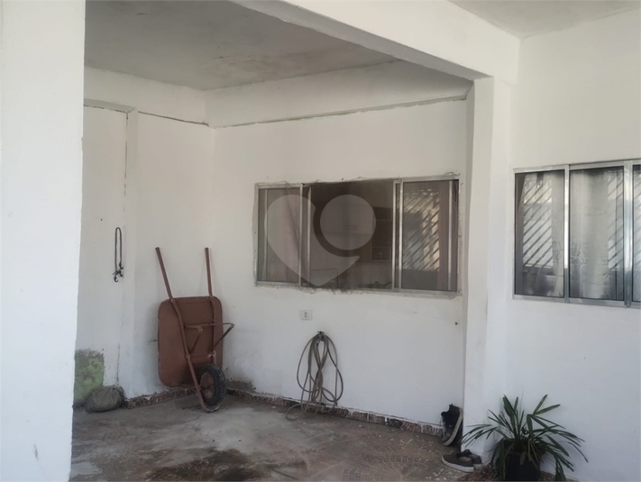 Foto REO1098272