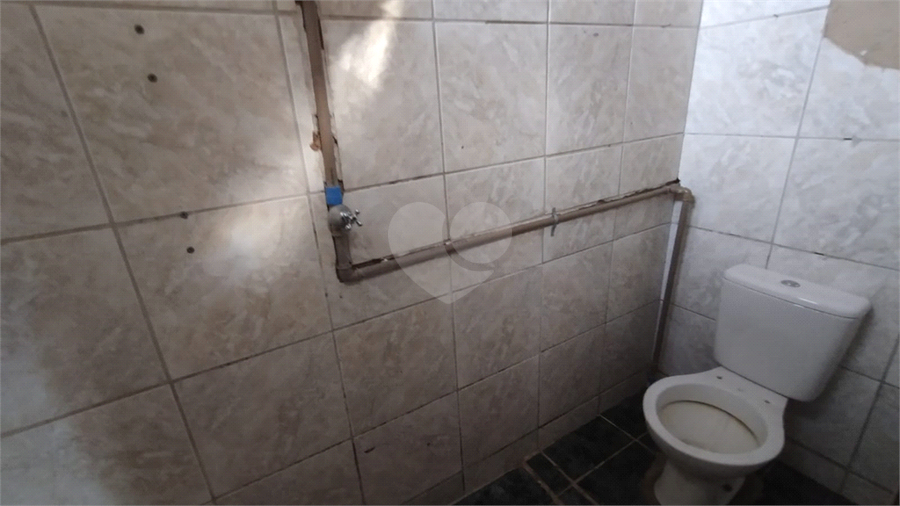 Foto REO1098274