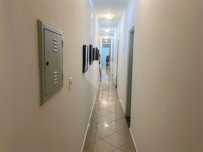 Foto REO1098278