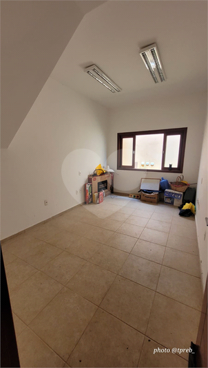 Foto REO1098282