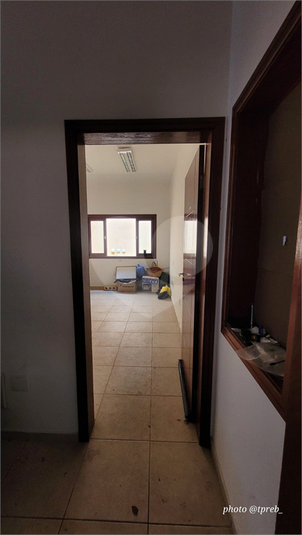 Foto REO1098282