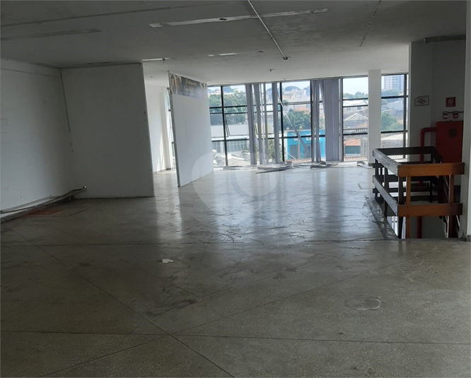 Foto REO1098295