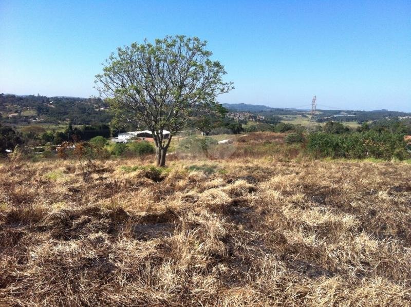 Venda Terreno Ibiúna Piai REO109830 1