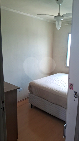 Foto REO1098306