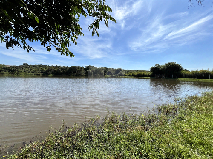 Foto REO1098314